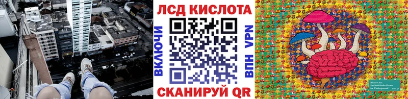 ссылка на мегу вход  даркнет сайт  Суздаль  Марки NBOMe 1,8мг 